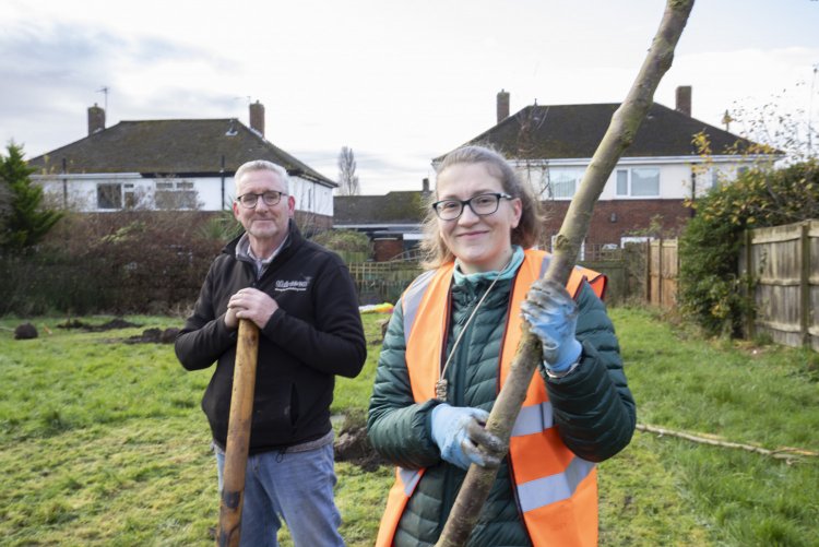 two staff members planting a tree 