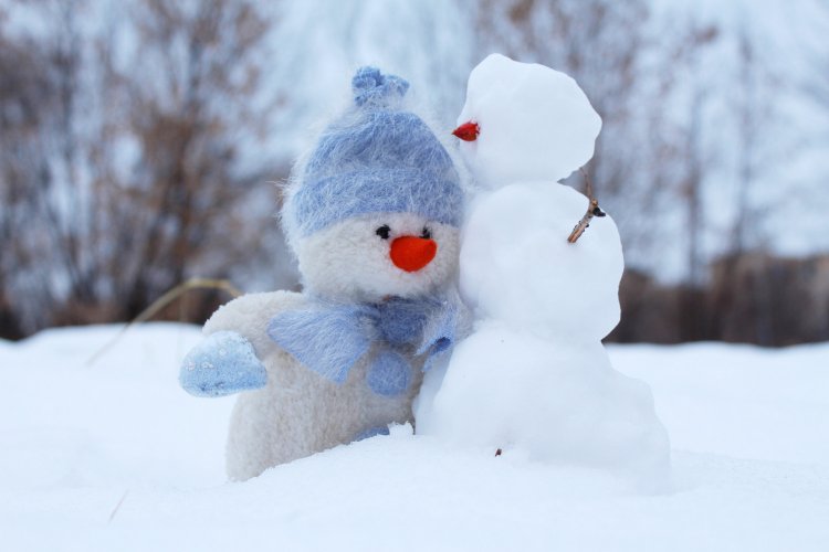 Christmas Cold Friends 269370