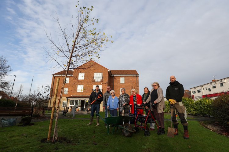 PennymanHouse TreePlanting 10 Copy