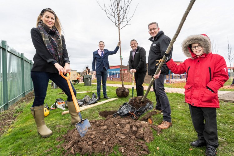 Tree Planting In Middlesbrough 2 